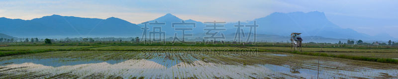 山,稻田,全景,婆罗洲岛,水稻梯田,天空,水平画幅,无人,沙巴州,户外