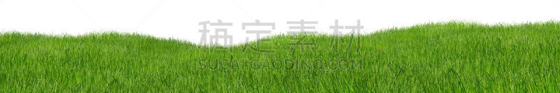 草,宽的,草地,绿色,地形,水平画幅,枝繁叶茂,无人,草坪,夏天