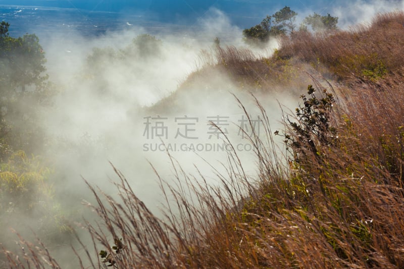 硫磺,风管,烟,草,特有物种,夏威夷大岛,白色,玻利尼西亚,灌木,极端地形