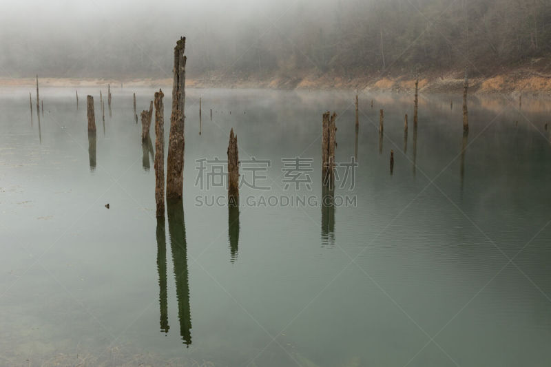 湖,板球桩,枯萎的,自然,偏远的,图像,树桩,宁静,无人,水