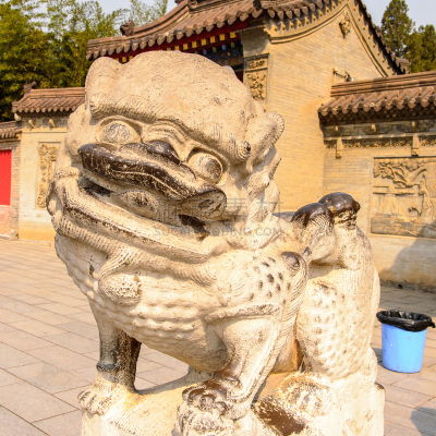 陕西省,宝塔,佛教,鹅肉,中国,部分,复杂性,唐朝