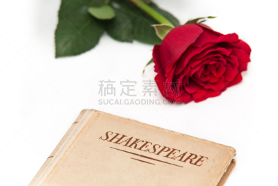 玫瑰,威廉莎士比亚,白色背景,红色,旧约书,古董,水平画幅,文学,古代,古老的