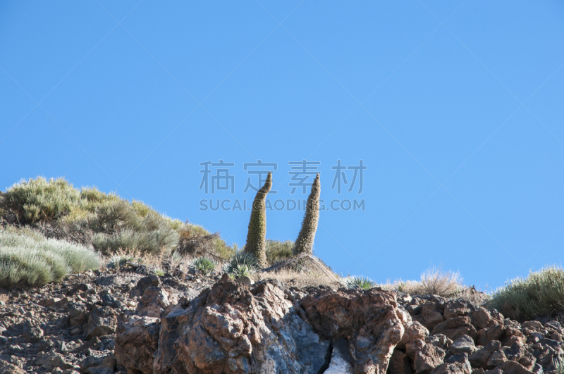 timanfaya national park,休眠火山,兰萨罗特岛,金丝雀,天空,褐色,水平画幅,无人,火山地形,巨大的