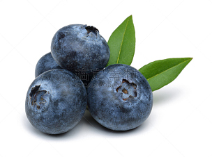 蓝莓,浆果,水果,白色背景,背景分离,剪贴路径,叶子,水平画幅,无人,生食