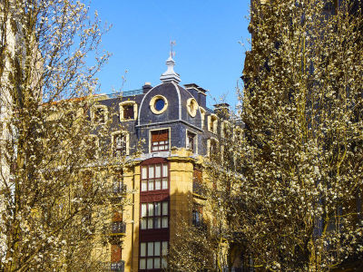 杏树类,欧洲,街道,圣塞瓦斯蒂安,西班牙,伦敦城,建筑外部,背景,花