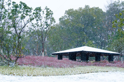 雪,地形,自然,寒冷,季节,风景,环境,冬天,图像,雪花