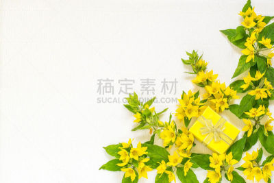 白色背景,美,贺卡,边框,水平画幅,夏天,生日,明亮,模板,亲昵