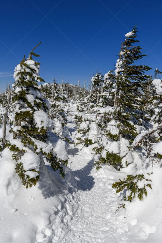 徒步旅行,北岳山,八岳山,高尔夫球场,雪,自然,垂直画幅,地形,巴岳山,长野县