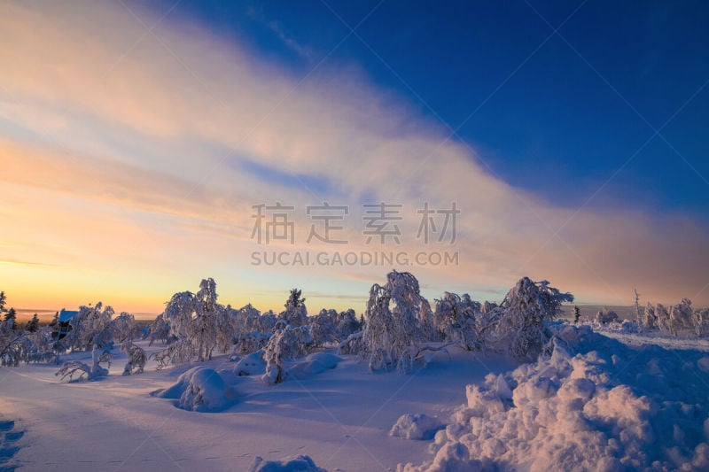 拉普兰,萨利色尔卡,冻原,两极气候,天空,美,水平画幅,林区,雪,无人