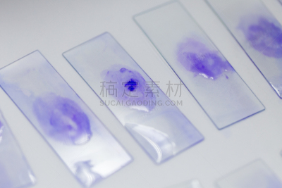 微生物学,实验室,肮脏的,技能,生物科技,水平画幅,科学实验,科学,生物学,工具台