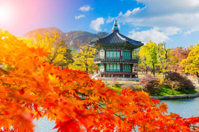 秋天,宫殿,韩国,景福宫,首尔,自然,天空,古董,水平画幅,无人