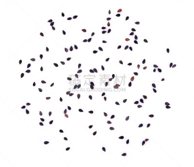 芝麻,白色背景,式样,水平画幅,素食,无人,有机食品,干的,特写,种子
