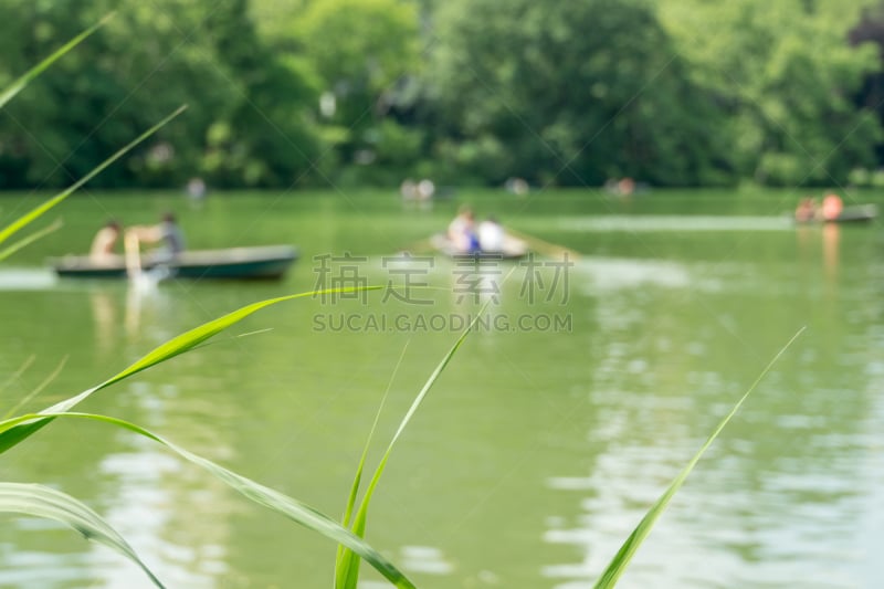 纽约,背景,中央公园,赤潮,划艇,无法辨认的人,浪漫,草,船,著名景点