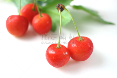 樱桃,白色背景,清新,食品,图像,浆果,成分,多汁的,无人,水果