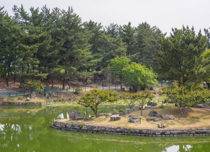 夏天,风景,后院,美,水平画幅,无人,户外,特写,明亮,田地