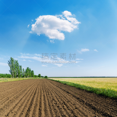 耕地,天空,白色,蓝色,春天,云,褐色,无人,泥土,户外