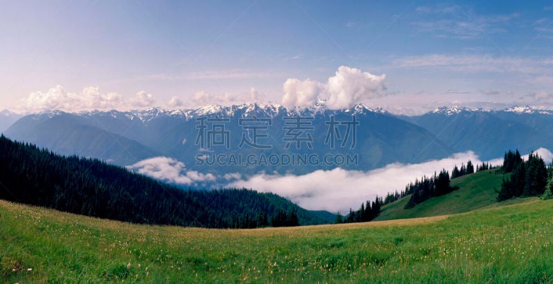 飓风山脊,奥林匹克山脉,奥林匹克国家公园,奥林匹克山,自然,水平画幅,地形,无人,全景,夏天