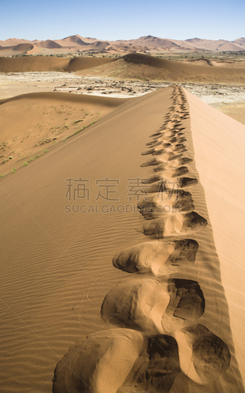 脚印,纳米布沙海,特索切普山峡谷,纳米比亚沙漠,苏丝斯黎,纳米布沙漠,垂直画幅,沙子,无人,户外