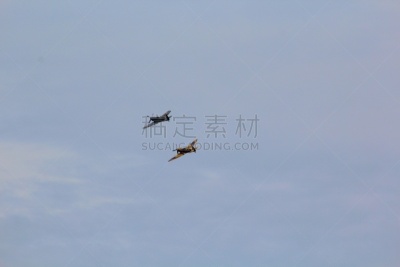 烈火,空军,图像,水平画幅,英国,天空,螺旋桨,飞行器,飞机,军用机