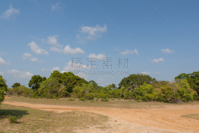 也拉,平纳瓦拉大象孤儿院,孤儿院,亚洲象,水,天空,公园,水平画幅,巨大的,热带雨林