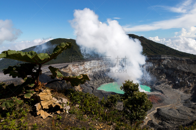 火山,植物群,水平画幅,无人,热带雨林,户外,湖,雨林,硫磺