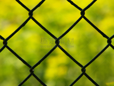网栅栏,绿色背景,退出键,苦尽甘来,电缆,水平画幅,枝繁叶茂,透过窗户往外看,户外,安全