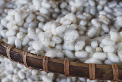 蚕,茧,丝绸,工厂,白色,自然,传统,越南,纺织品,图像