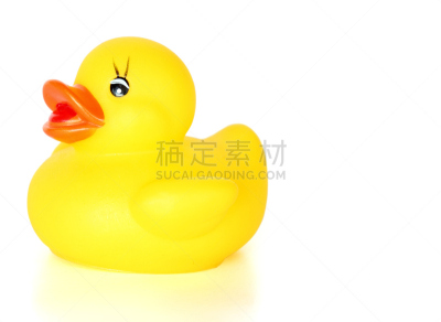 鸭子,黄色,住宅房间,浴室,水平画幅,进行中,背景分离,海洋,哺乳纲,橡皮鸭子