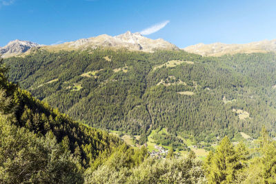 阿尔卑斯山脉,森林,法国海外领土,旅途,环境,雪,瑞士阿尔卑斯山,草,自然美,夏天