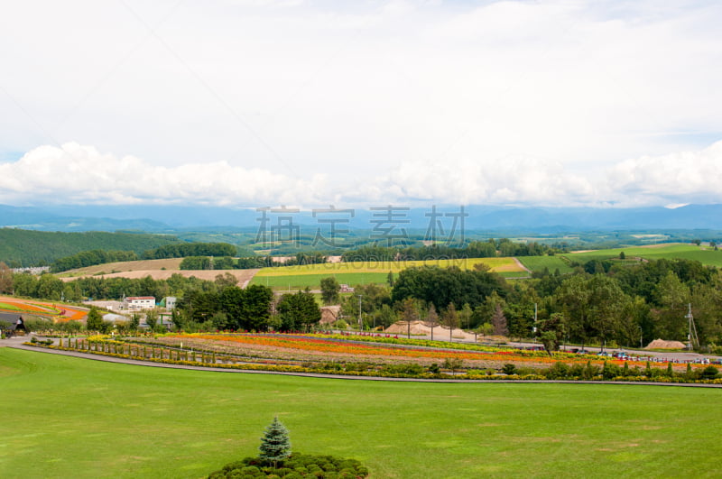 美瑛町,山,夏天,色彩鲜艳,北海道,富良野盆地,避暑圣地,留白,度假胜地,水平画幅