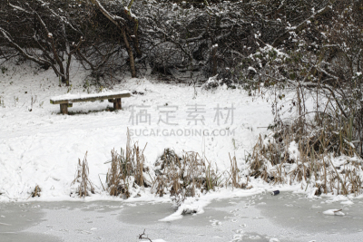 长椅,雪,冰,池塘,冬天,默顿地区,2010,自然,褐色,寒冷