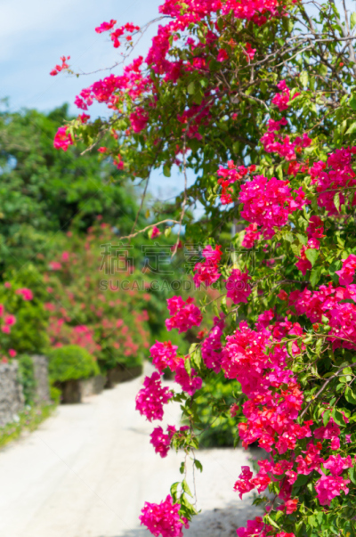 Taketomi Island in Okinawa, Japan