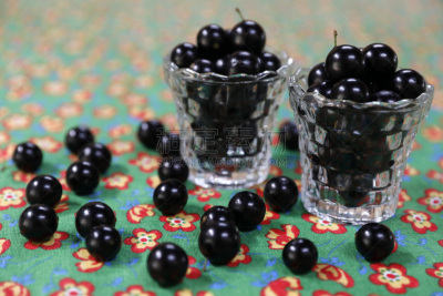 Franca, Brazil - September 29, 2018: Jabuticaba fruit on the farm table in Franca city, interior of the São Paulo State, in Brazil