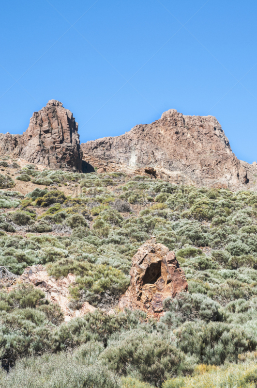 timanfaya national park,兰萨罗特岛,金丝雀,垂直画幅,褐色,无人,巨大的,大西洋群岛,户外,北美歌雀