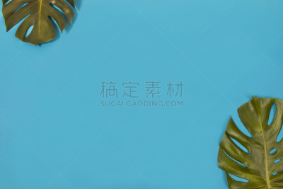 仙人掌联盟,咖啡湾,订书机,有节疤的木料,彩色铅笔,毡尖笔,色板,水平画幅,木制,无人
