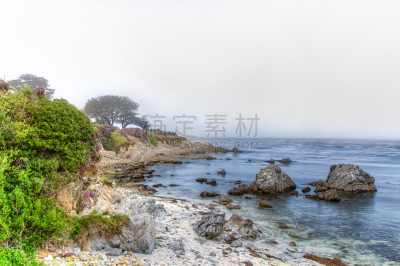 海岸线,海景,雾,加利福尼亚,太平洋丛林镇,蒙特里湾,水平画幅,岩石,无人,色彩鲜艳
