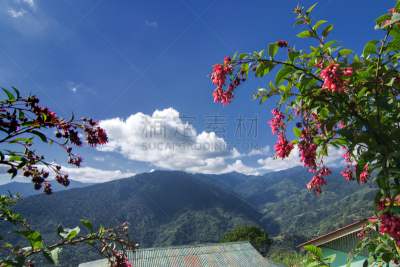 锡金,山脊,干城章嘉峰,天空,美,水平画幅,山,无人,早晨,夏天