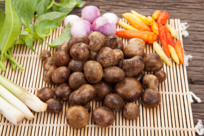 蘑菇,泰国,泡芙,蘑菇汤,气压计,人造的,罗望子,球体,叶子,戴维彼得雷乌斯