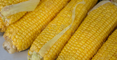 玉米,超级市场,活力,蔬菜,清新,自然界的状态,食品,简单,熟的,成分