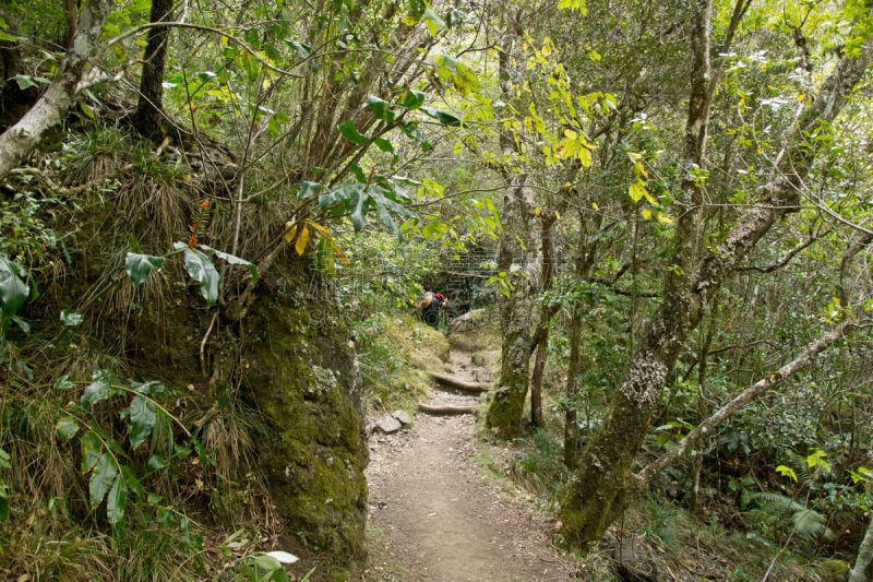 留尼汪（法属）,雨林,撒拉斯尔环岛,马法提环岛,马斯克林群岛,火山喷口,留白,水平画幅,无人,火山地形