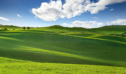 托斯卡纳区,全景,丘陵起伏地形,牧场,山,绿色,天空,水平画幅,无人,草坪