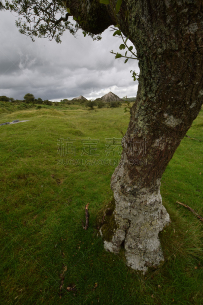 bodmin moor,康沃尔,采石场,地衣,旷野,垂直画幅,停泊的,摩尔人风格,无人,英国