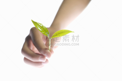 手,童年,双叶区,部分,环境,女人,拿着,儿童,日本
