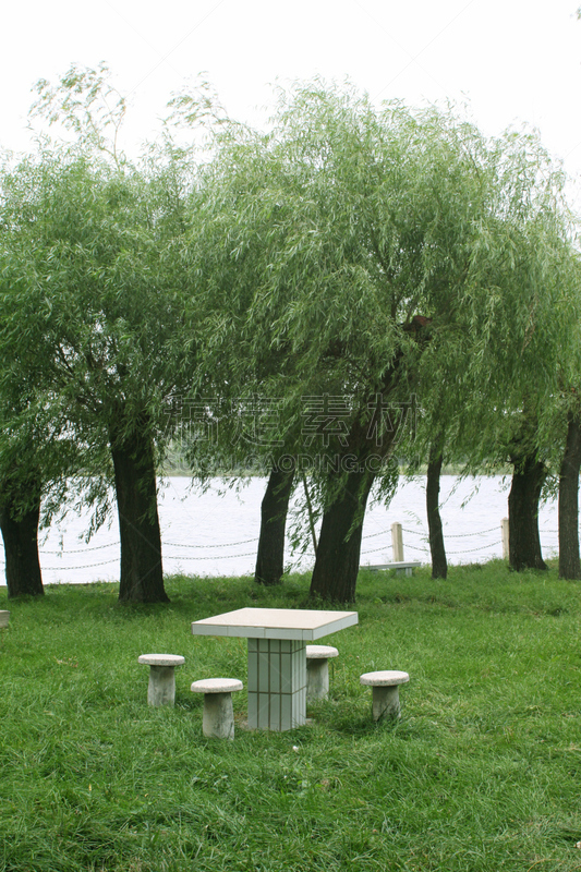 草坪,派克大街,垂直画幅,天空,美,人造的,公园,长椅,休闲活动,纹理效果