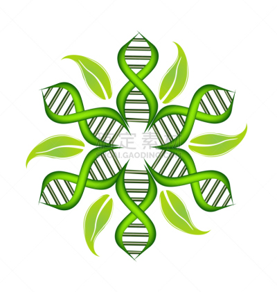 细胞,计算机图标,植物,脱氧核糖核酸,垂直画幅,绘画插图,标签,技术,编码