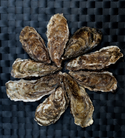 牡蛎,形状,仅一朵花,垂直画幅,饮食,无人,生食,海产,苏格兰,格拉斯哥