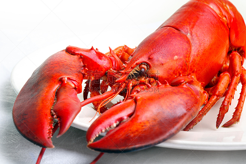 龙虾,红辣椒,饮食,煮食,水平画幅,无人,膳食,船,海洋,盘子
