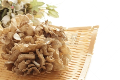 日本,真菌,舞茸蘑菇,留白,水平画幅,无人,蘑菇,白色背景,篮子,室内