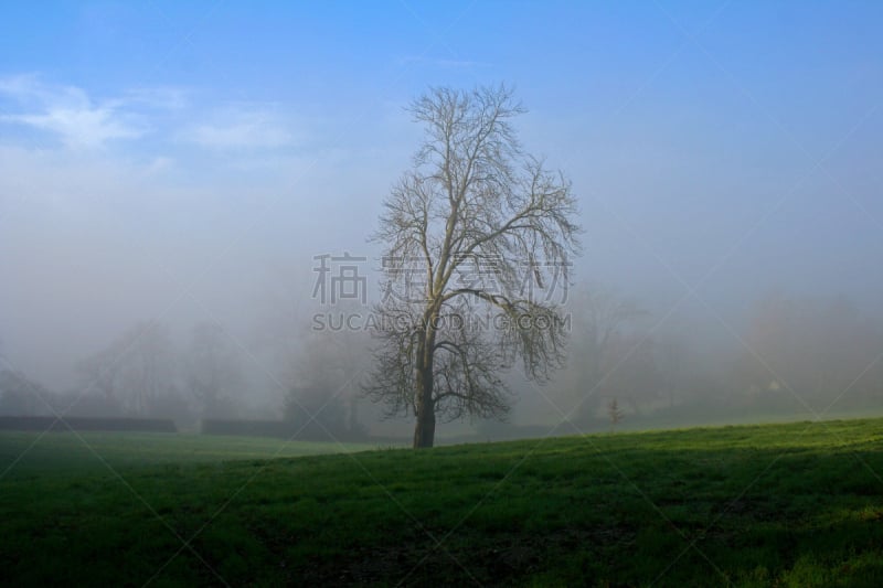 早晨,雾,瓦德赫斯特村,东苏塞克斯,天空,水平画幅,秋天,无人,蓝色,英格兰