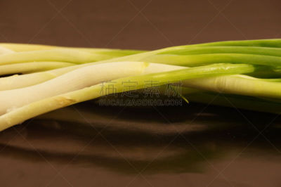 洋葱,清新,绿色,植物大小,格拉斯谷,奶油生菜,葱谷,叶甲虫,营养阶段,水平画幅